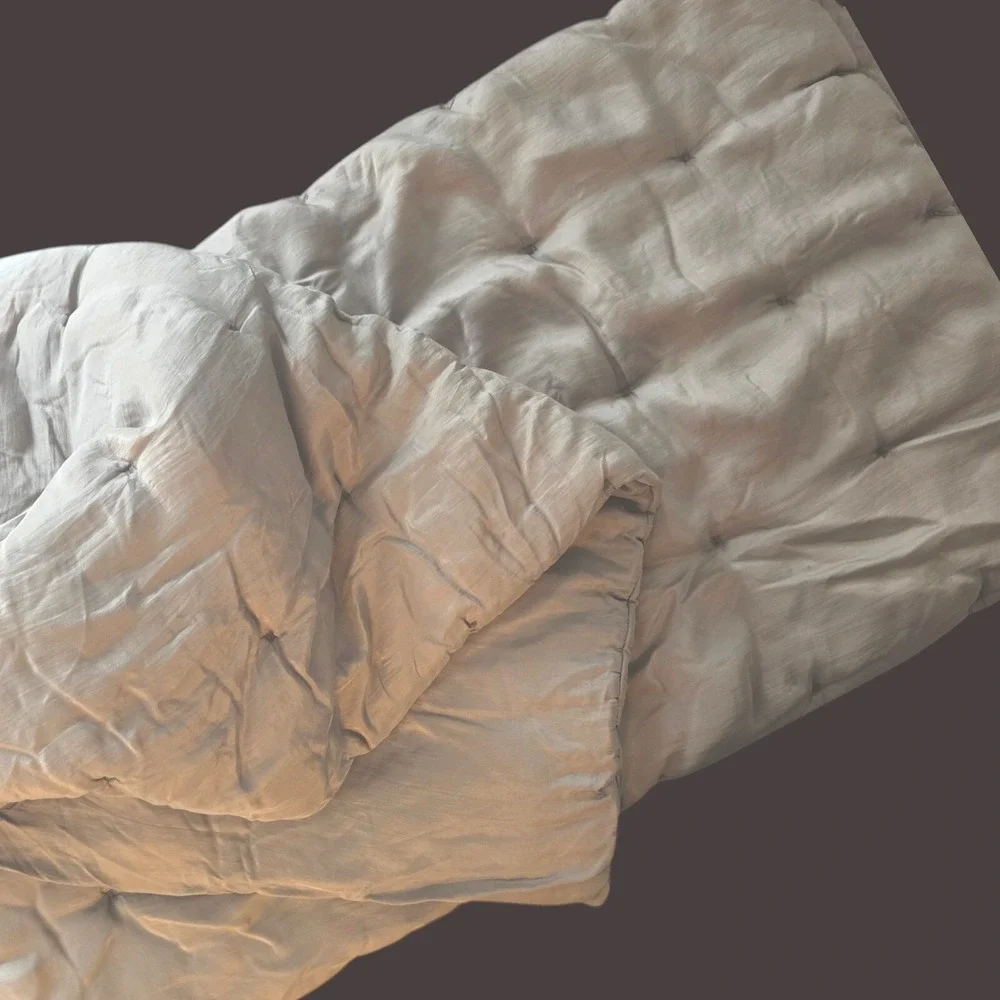 Two RH Restoration Hardware Tufted‎ Silk Fog Gray King Pillow Shams